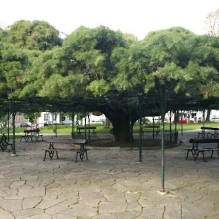 Windows Of Bica-great View Over River Lizbona